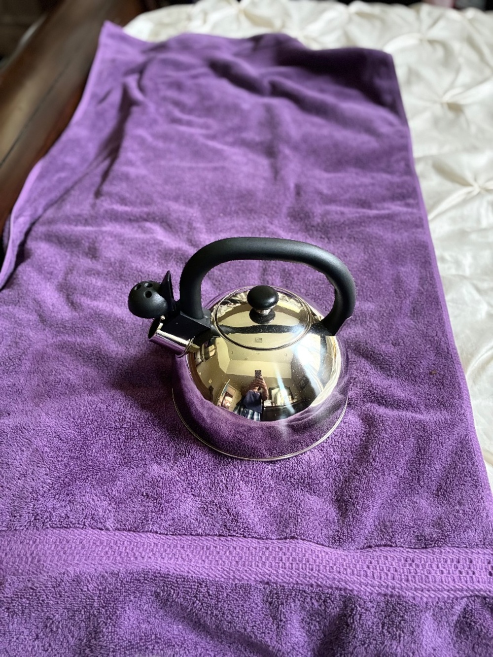 New in Box Stainless Steel 10 cup Whistling Tea Kettle
